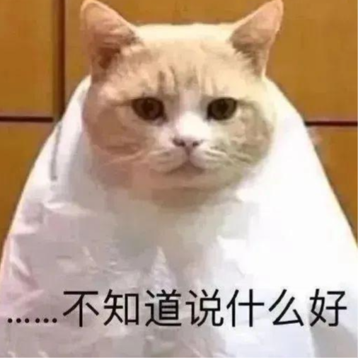 1-250G6155415508.png 1-250G6155415508.png